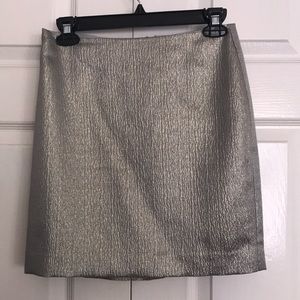 Ann Taylor Skirt